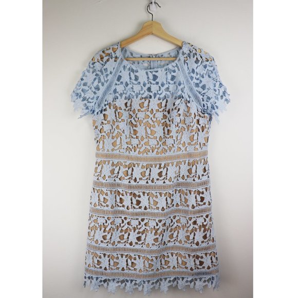 NEW Eliza J Open Lace Midi Dress in Light Blue - Picture 3 of 6